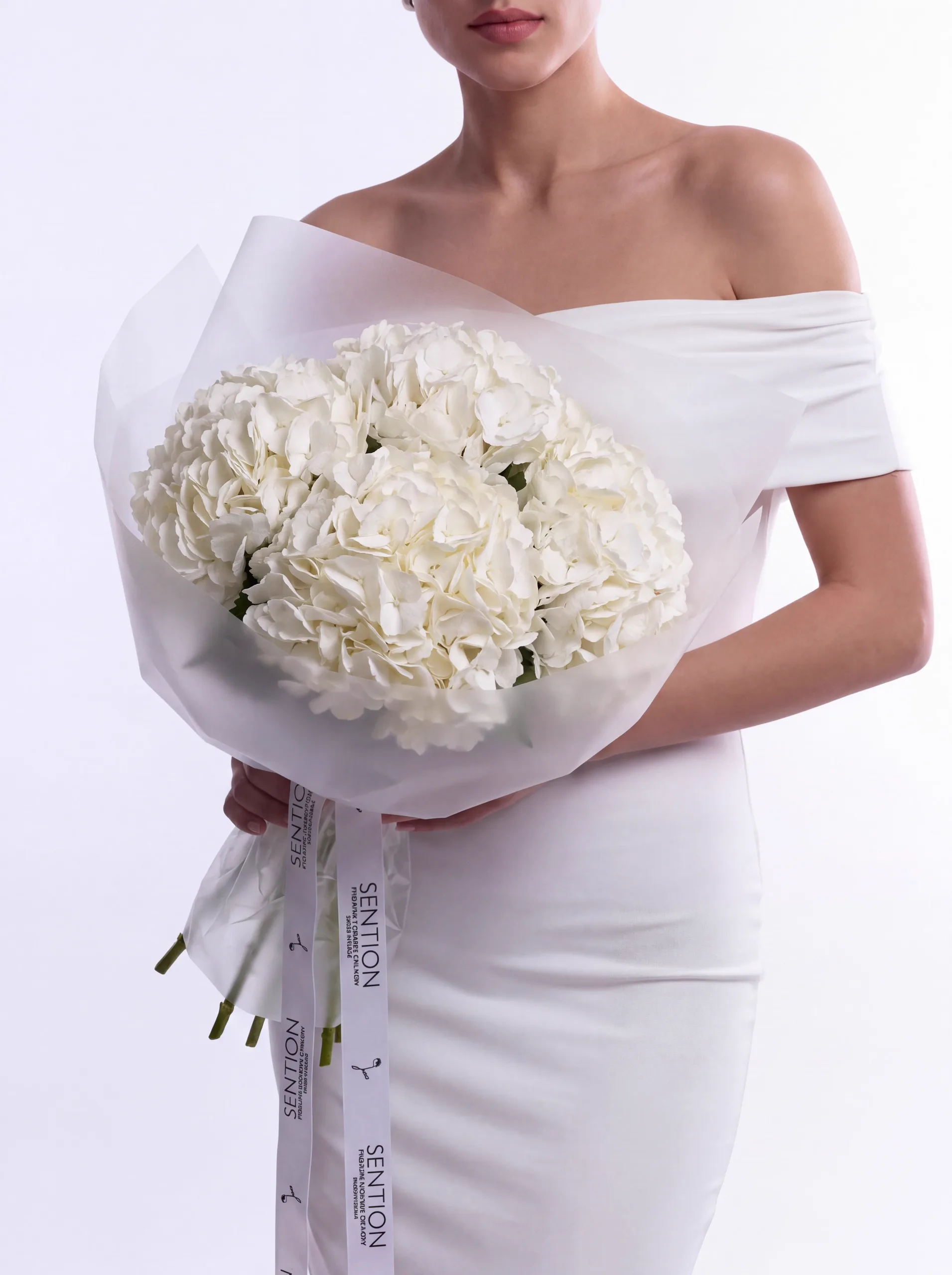 5 hydrangeas