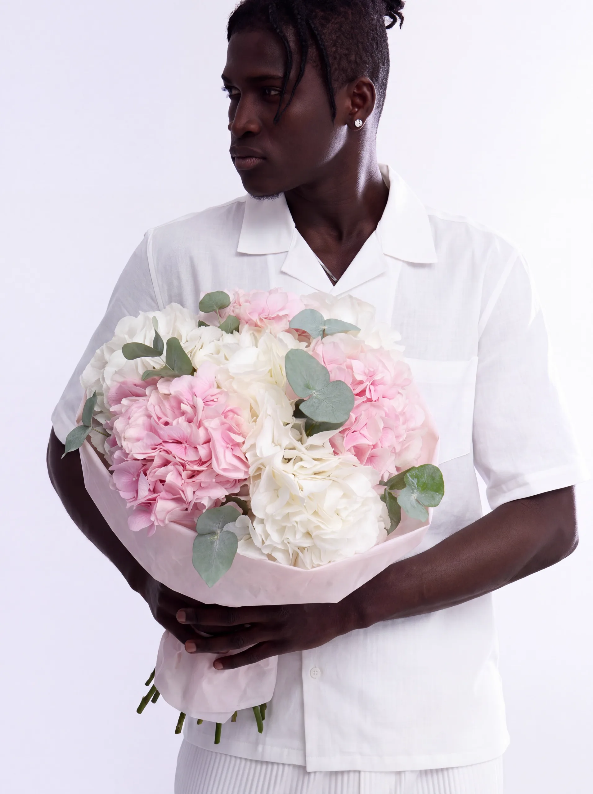 7 hydrangeas